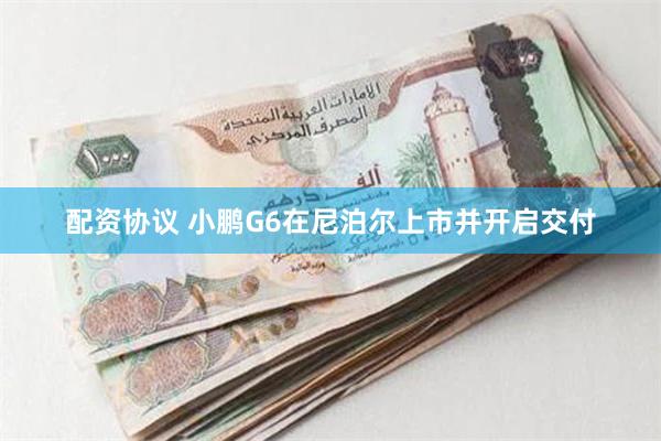 配资协议 小鹏G6在尼泊尔上市并开启交付