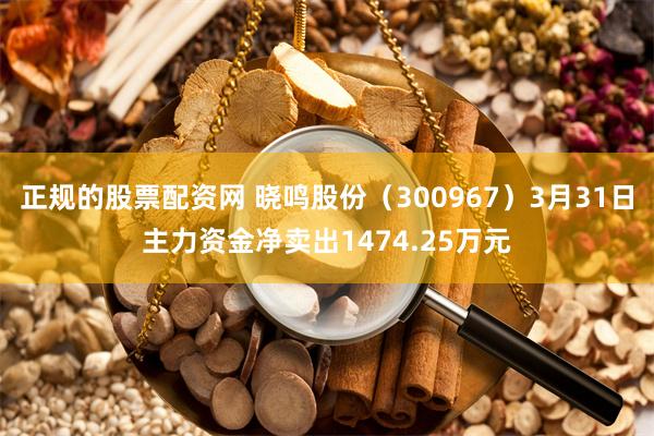 正规的股票配资网 晓鸣股份（300967）3月31日主力资金净卖出1474.25万元