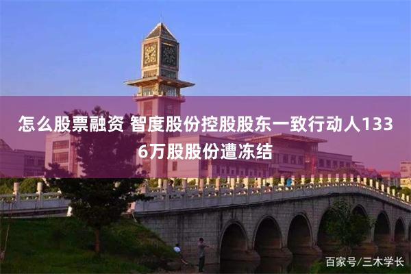 怎么股票融资 智度股份控股股东一致行动人1336万股股份遭冻结