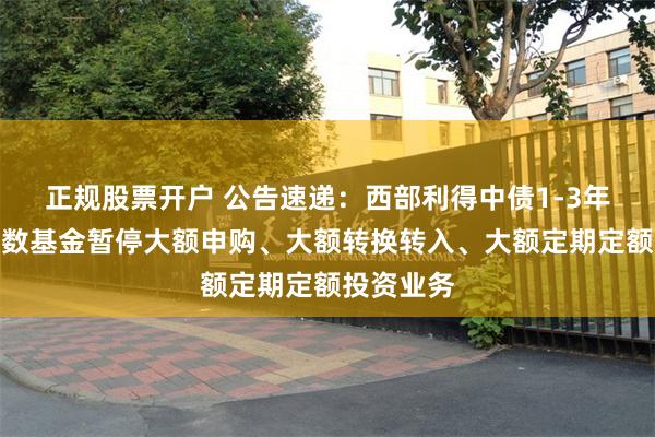 正规股票开户 公告速递：西部利得中债1-3年政金债指数基金暂停大额申购、大额转换转入、大额定期定额投
