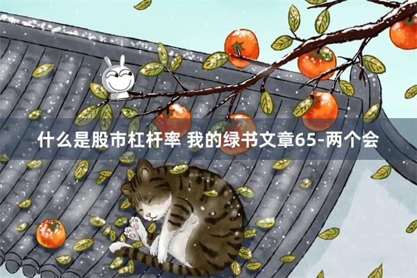 什么是股市杠杆率 我的绿书文章65-两个会