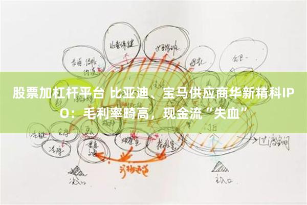 股票加杠杆平台 比亚迪、宝马供应商华新精科IPO：毛利率畸高，现金流“失血”