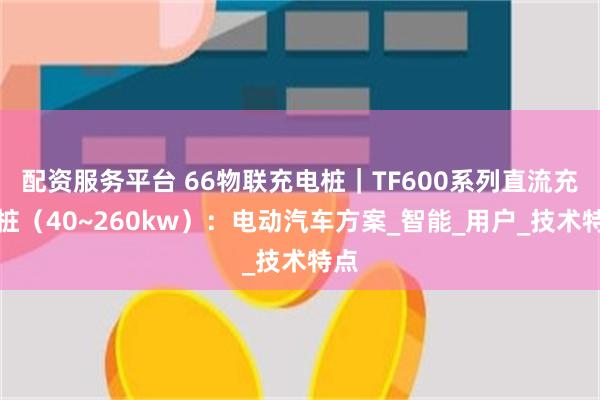 配资服务平台 66物联充电桩｜TF600系列直流充电桩（40~260kw）：电动汽车方案_智能_用户