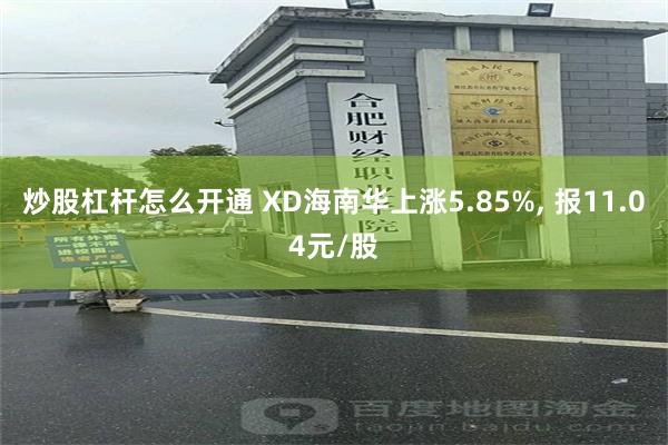 炒股杠杆怎么开通 XD海南华上涨5.85%, 报11.04元/股