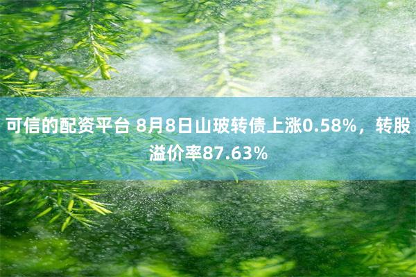 可信的配资平台 8月8日山玻转债上涨0.58%，转股溢价率87.63%