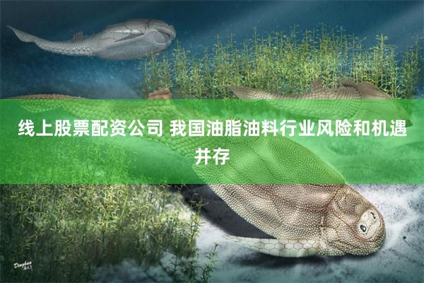 线上股票配资公司 我国油脂油料行业风险和机遇并存