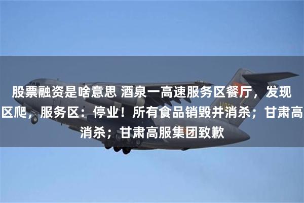 股票融资是啥意思 酒泉一高速服务区餐厅，发现老鼠在熟食区爬，服务区：停业！所有食品销毁并消杀；甘肃高